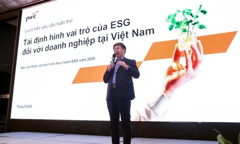 PwC: 89% doanh nghiệp Việt Nam có kế hoạch cam kết ESG trong vòng 2 - 4 năm tới