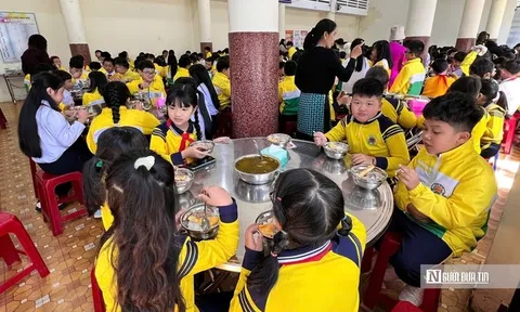 Tạm đình chỉ công tác Hiệu trưởng Trường Tiểu học Trưng Vương ở Lâm Đồng