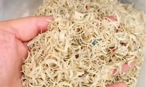 Vì sao Trung Quốc thu mua móng tay người với giá cao?