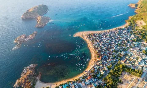 Việt Nam ngồi trên "kho báu" khổng lồ: Mỗi năm có thể thu về 1,9 tỷ USD từ thị trường toàn cầu