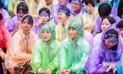 Bộ GD&ĐT: Tăng cường ứng phó bão số 9, sẵn sàng ứng phó bão số 10