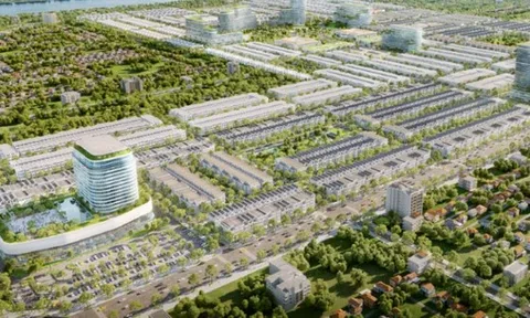 Xây dựng Ngân Thuận nợ thuế hơn 600 tỷ đồng