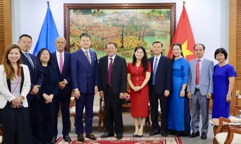 WIPO sẵn sàng hỗ trợ thúc đẩy sáng tạo và sở hữu trí tuệ cho Việt Nam