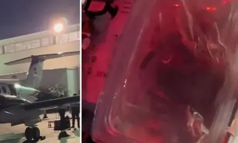 Clip trái tim đang đập trong hộp chờ cấy ghép thu hút 24 triệu lượt thích