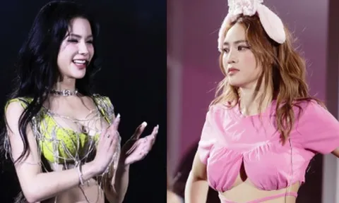 Diệp Lâm Anh đã làm gì Lan Ngọc mà bị chỉ trích đến mức này?