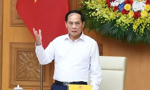 Phó Thủ tướng đề nghị Vingroup báo cáo nội dung này trước 6/10