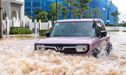 Sở Xây dựng Hà Nội 'đặc biệt rút kinh nghiệm' sau bão Bualoi, chuẩn bị ứng phó bão số 11