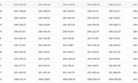 Hơn 200 chủ xe máy, ô tô Hà Nội có biển số sau nhanh chóng nộp phạt nguội theo Nghị định 168