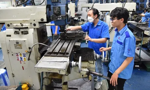Sắp xếp lại hệ thống đại học là tất yếu (*): "Đại sắp xếp" đại học ra sao?