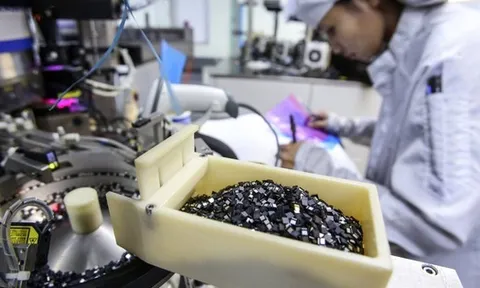 Việt Nam có "kho báu" làm nên chuyện trong lĩnh vực 1.000 tỷ USD, Nhật Bản rất muốn hợp tác