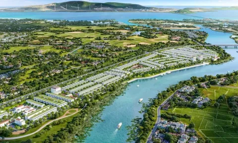 Doanh thu tăng đột biến 19.041%, doanh nghiệp này làm gì mà "tiền vào như nước"?