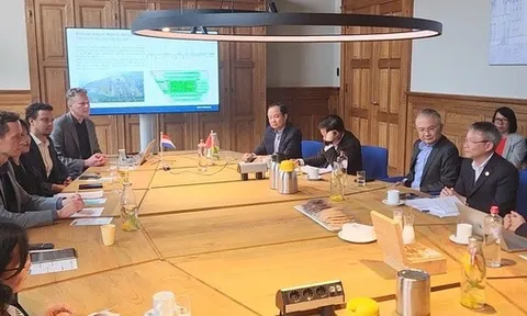 Đà Nẵng thu hút đầu tư lĩnh vực đô thị thông minh, hàng không và cảng biển tại Hà Lan