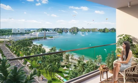 Hưởng lợi kép khi đầu tư căn hộ Sun Group trung tâm Bãi Cháy