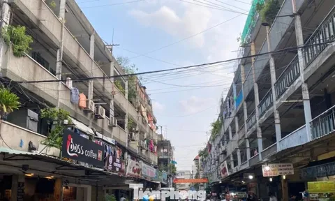 TPHCM chi tiền tỷ kiểm định gần 200 chung cư cũ