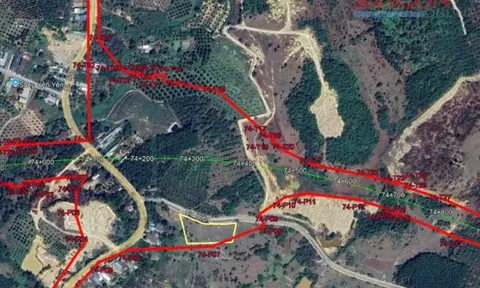 Dự kiến khởi công đường cao tốc Tân Phú - Bảo Lộc trong tháng 12-2025