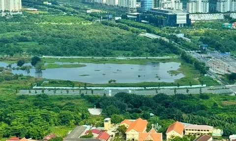 TP HCM còn khoảng 100 dự án đang chờ đóng tiền sử dụng đất