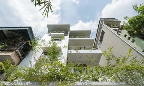 Cải tạo nhà ống chật chội thành không gian sống xanh mát