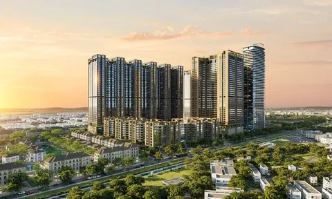 Sunshine Legend City sẽ lên sóng livestream tối 7/10 với giá khởi điểm 45 triệu/m2