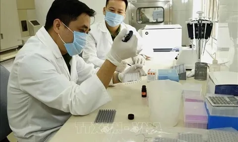 Chế độ phụ cấp đặc thù với công chức, viên chức, lực lượng vũ trang ngành y tế