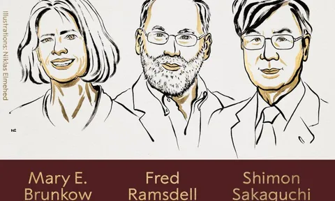 Giải Nobel Y sinh 2025 được trao cho ba nhà khoa học nhờ khám phá cơ chế 'phanh' hệ miễn dịch của con người