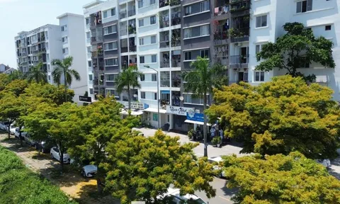 Đi làm xa hơn 20km được mua nhà ở xã hội