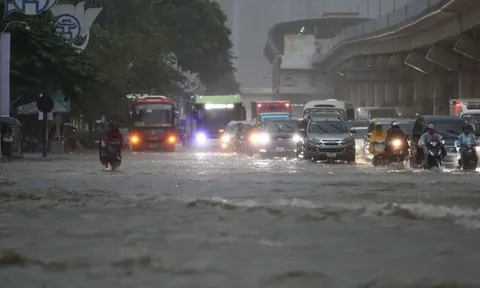 Công ty phụ trách thoát nước cho thành phố Hà Nội kinh doanh thế nào: Tuổi đời hơn nửa thế kỷ, doanh thu gần 447 tỷ đồng