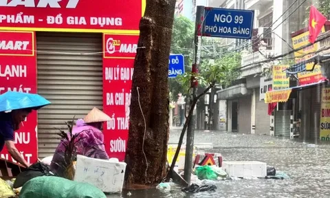 Cách nào để tránh bị ghẻ, nấm da sau đợt mưa lũ?