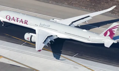 Bác sĩ tử vong trên máy bay vì bữa ăn có... thịt