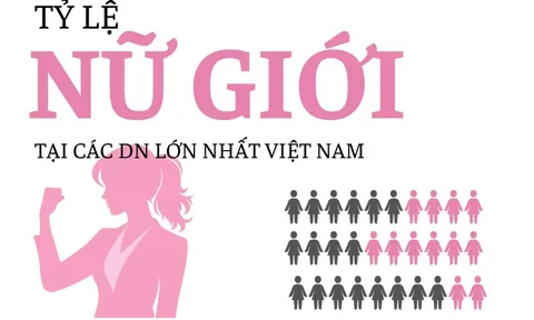 'Đế chế' của ông Phạm Nhật Vượng chỉ có 37,3% nhân sự nữ nhưng các nữ tướng chiếm 59%, ngân hàng là 'thánh địa' của giới nữ ngoại trừ Sacombank