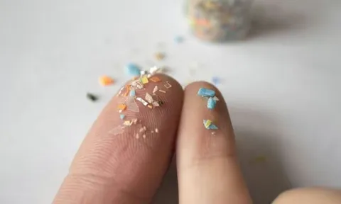 Phát hiện thêm 1 tác hại đáng ngại của vi nhựa: 5 cách để giảm nguy cơ ngay bây giờ