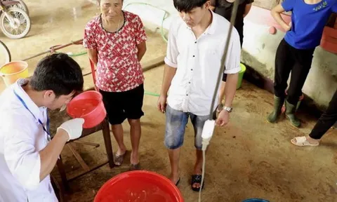 Người dân vùng lũ cần làm sạch nước sinh hoạt thế nào?