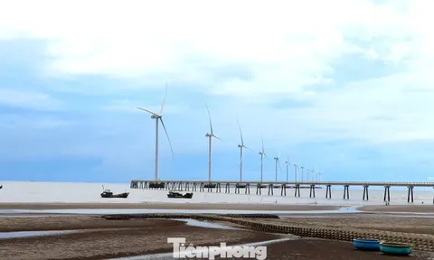 Điều gì đang cản trở thủ phủ điện gió?