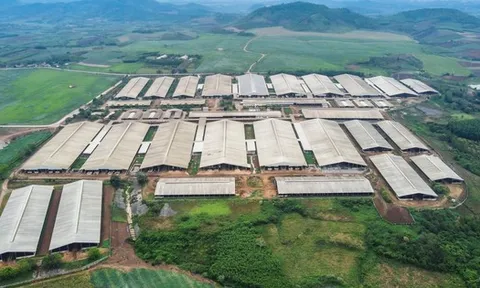 Trước Luật quy định xây trang trại cách nhà dân 200m, DN đã xây cách 270m, nhưng nay Luật tăng lên 400m, DN hỏi thì bộ ban ngành nói phải làm đúng Luật