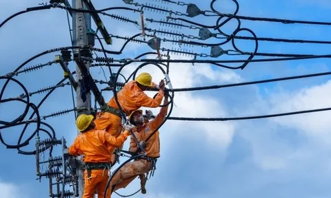EVN là doanh nghiệp duy nhất tại Đông Nam Á làm được điều này