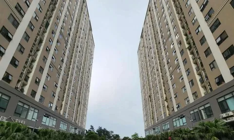 'Siết' tín dụng bất động sản: Tránh đánh đồng người mua nhà với nhóm 'đầu cơ, lướt sóng'