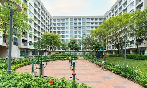 Hơn 900 căn nhà ở xã hội tại Bắc Ninh được bán giá gần 19 triệu đồng, ngang ngửa giá tại Hà Nội