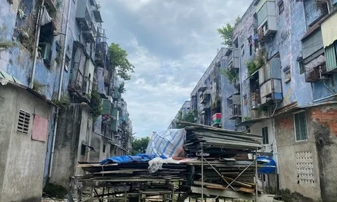 Đà Nẵng chi hơn 1.300 tỉ "xoá sổ" chung cư "ổ chuột"