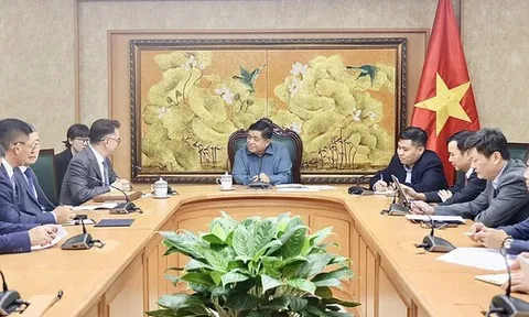 Khuyến khích Tập đoàn TCL chuyển giao công nghệ và hỗ trợ doanh nghiệp Việt Nam tham gia chuỗi cung ứng