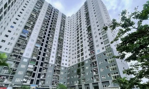 Người mua nhà “khóc ròng" vì càng chờ giá chung cư càng tăng mạnh