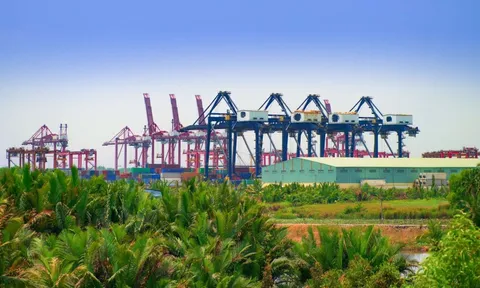 Chương mới của Việt Nam: Tăng trường Số và Xanh giữa bất ổn toàn cầu