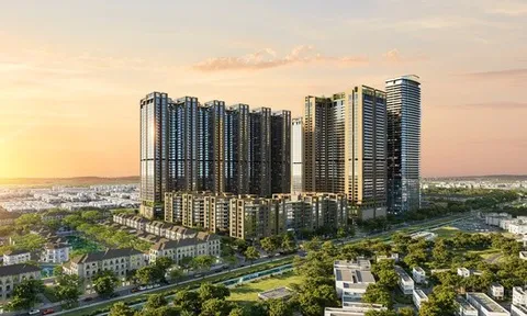 Giải mã chiến lược nhà cao cấp giá hợp lý cho nhu cầu thực của Sunshine Group