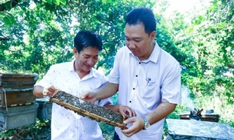 Từ 'thợ săn mật' đến ông chủ trang trại ong doanh thu 25 tỷ đồng/năm ở Đồng Nai