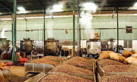 'Sản vật trời ban' giúp Việt Nam xuất khẩu bỏ xa thế giới: Được người Trung Quốc thừa nhận 'ăn đứt' hàng nội, thu về hàng tỷ USD từ đầu năm