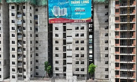 Loạt dự án nhà ở xã hội khuấy động thị trường phía Bắc TP HCM