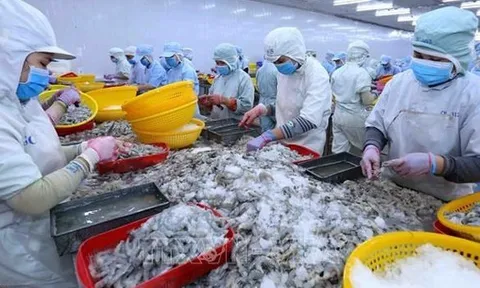 Tổng Giám đốc một công ty thủy sản lớn xin nghỉ việc vì "cảm thấy năng lực không còn đáp ứng được"