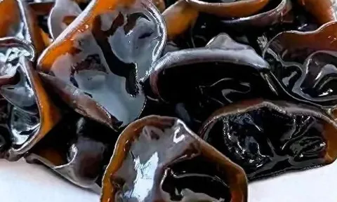 Đừng động đến 4 loại "thực phẩm chết người" này! Dù đã nấu chín kỹ, chúng vẫn có thể "giết" bạn