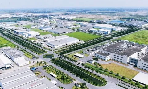 Nhà đầu tư Singapore muốn làm dự án KCN dược - sinh học và năng lượng tái tạo 100 ha tại Hưng Yên