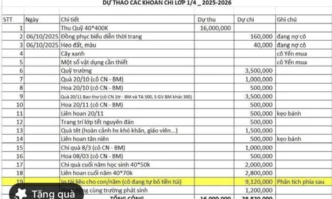 TP HCM: Trưởng ban đại diện phụ huynh lớp "tự nghĩ ra" thu - chi để vận động phụ huynh