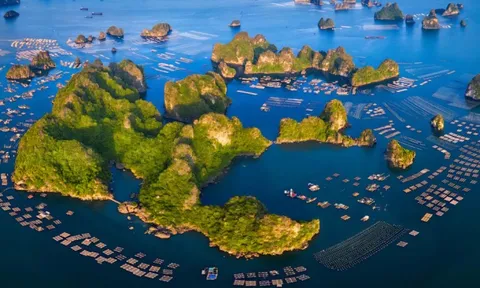Quảng Ninh xây dựng cơ chế đặc thù cho Vân Đồn