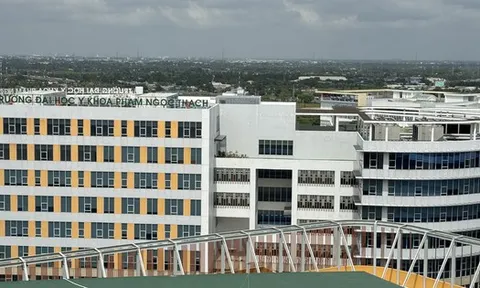 Trường ĐH Y khoa Phạm Ngọc Thạch TP HCM dừng chương trình Y Việt - Đức